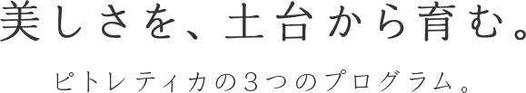 美しさを、土台から育む。
